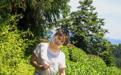 白宫管家 百度影音